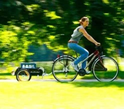 Burley Flatbed Transportanhänger -Zweirad Profi 2990 th flatbed path