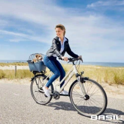 Basil Korbgitter Space Frame -Zweirad Profi basil korbgitter lifestyle