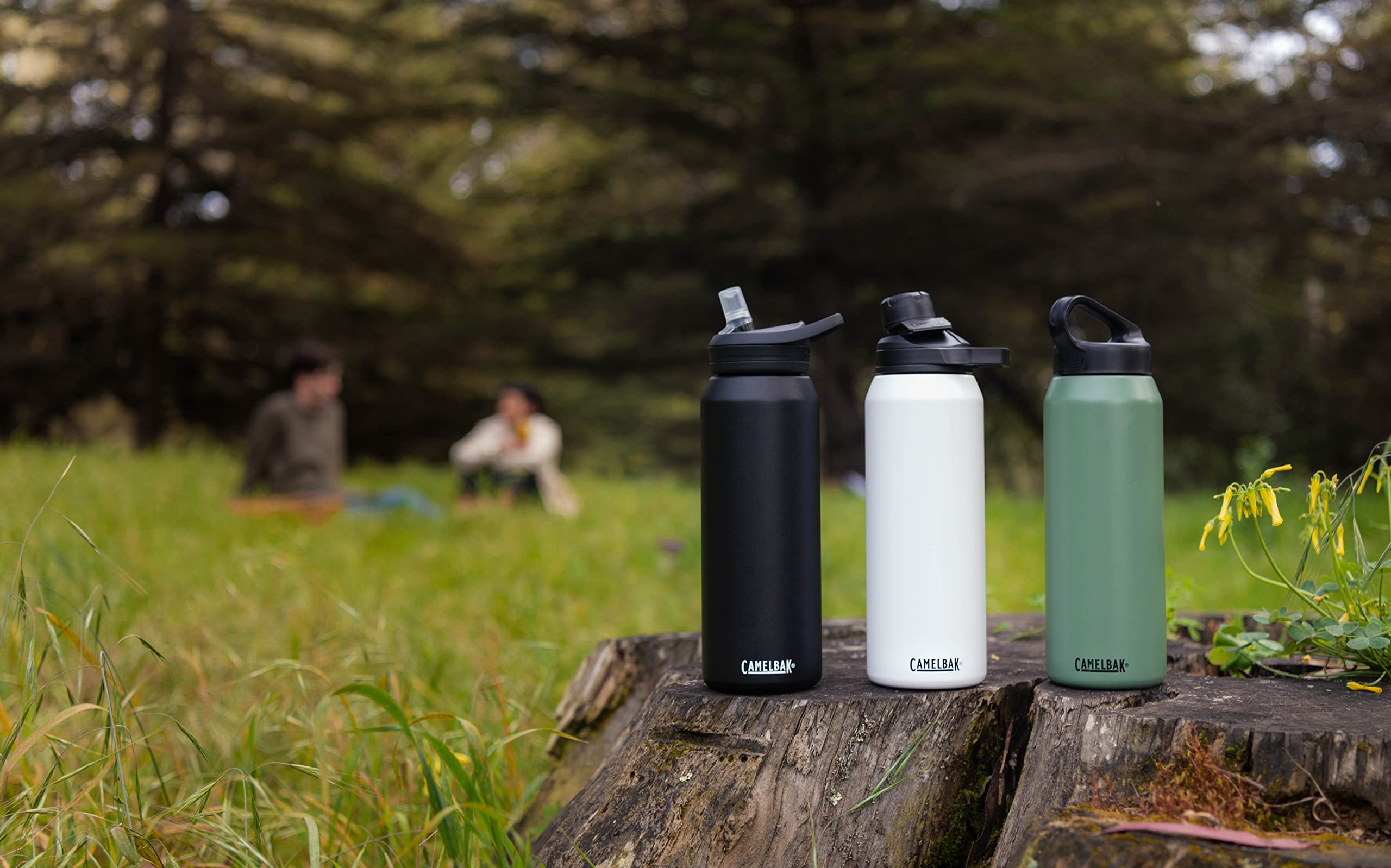 Zweirad Profi -Zweirad Profi 81QEy70m7fL